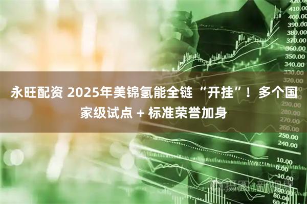 永旺配资 2025年美锦氢能全链 “开挂”！多个国家级试点 + 标准荣誉加身