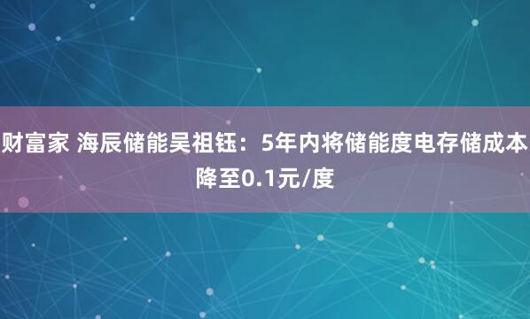 财富家 海辰储能吴祖钰：5年内将储能度电存储成本降至0.1元/度