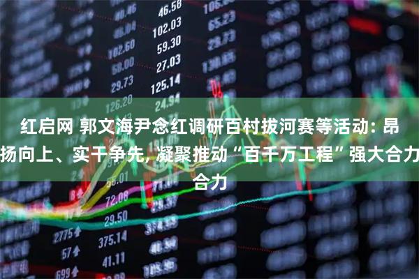 红启网 郭文海尹念红调研百村拔河赛等活动: 昂扬向上、实干争先, 凝聚推动“百千万工程”强大合力